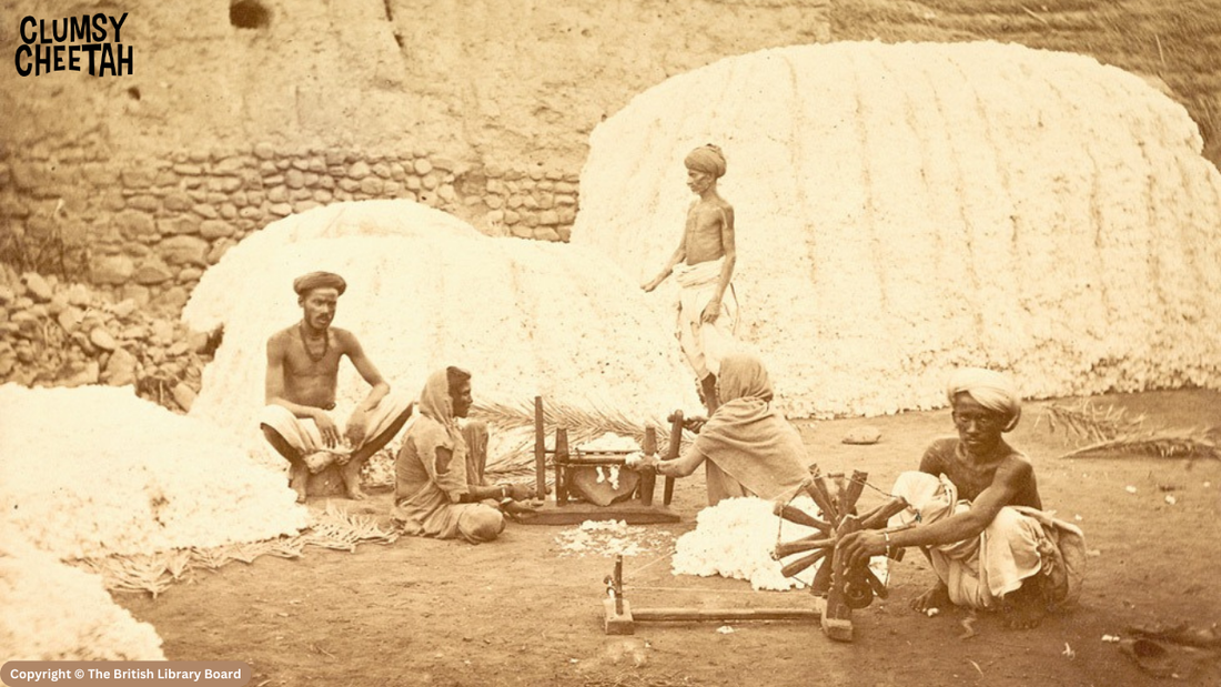 The Journey of Cotton: From Ancient Origins to Modern Comfort
