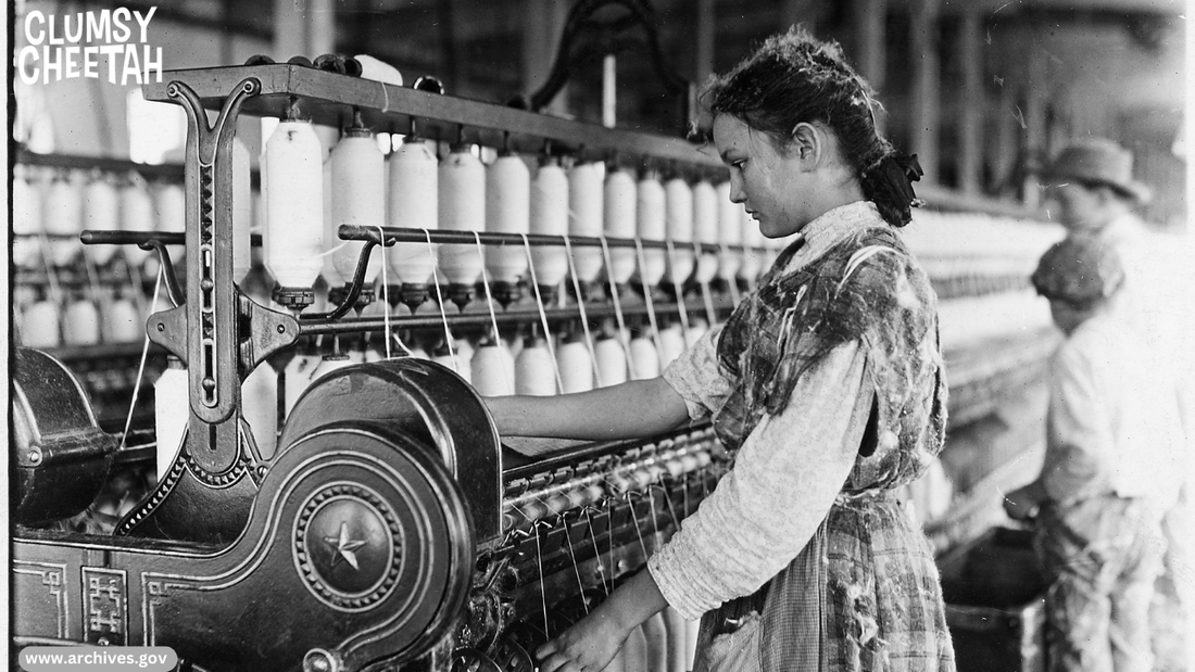 From Farm to Fabric: The Complete Journey of Cotton